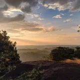 Kadalukaani Para Trivandrum 